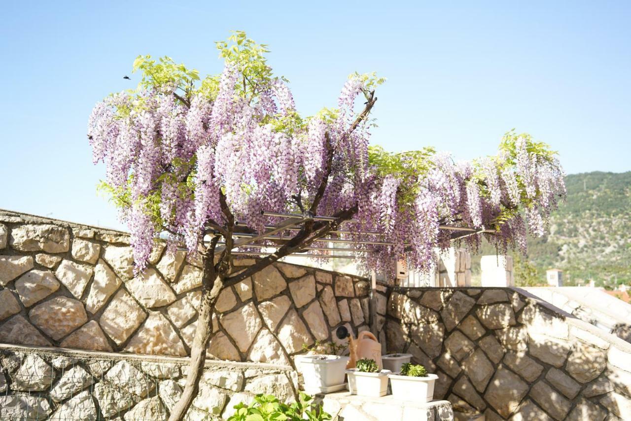 Apartments Lila Cres Dış mekan fotoğraf