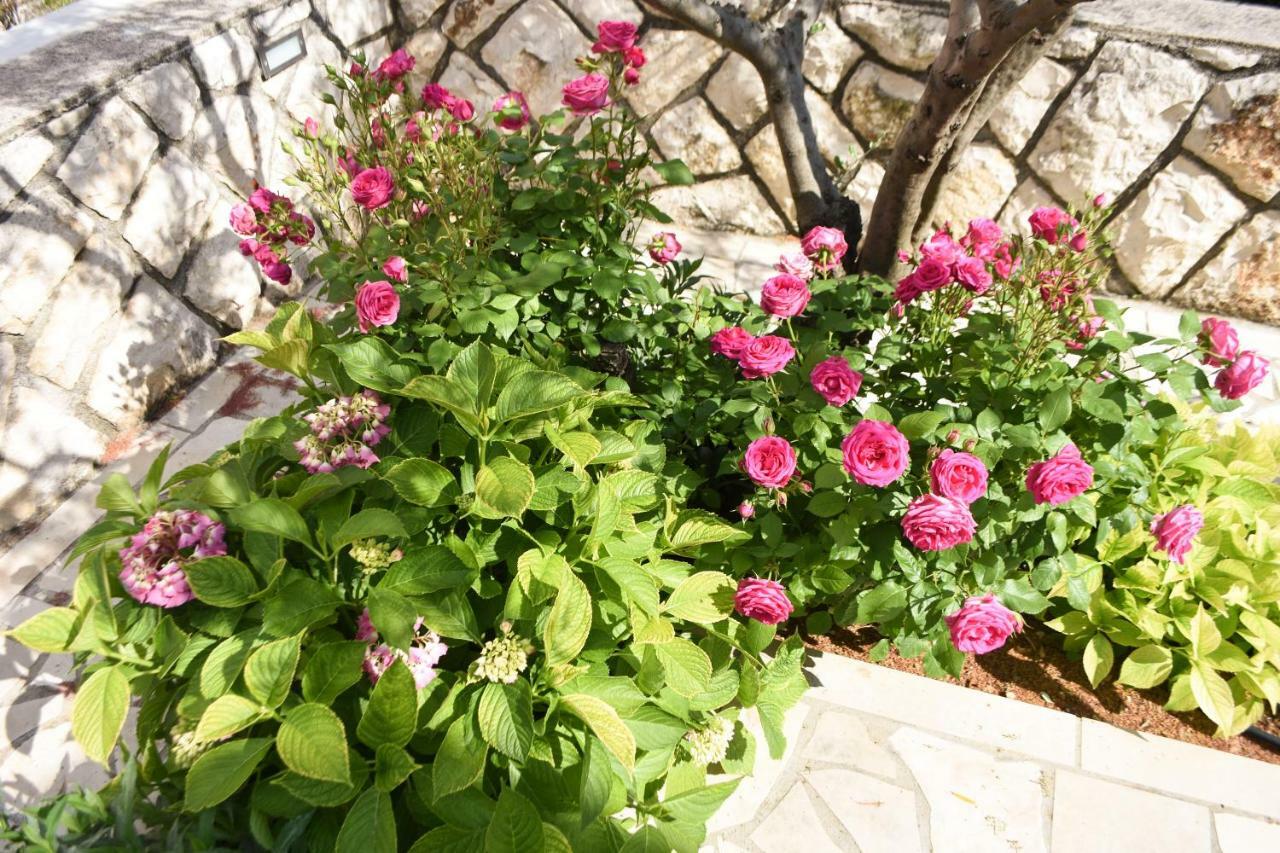 Apartments Lila Cres Dış mekan fotoğraf